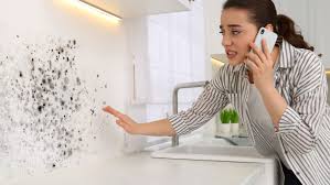 10 Warning Signs of Mold Toxicity